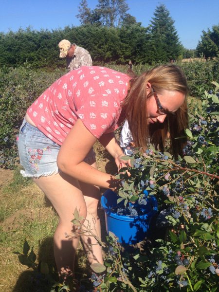 daughter-picks-u-pick-blueberries