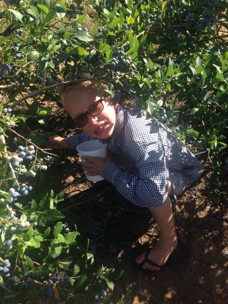 grand-kids-U-pick-blueberries-WA-State