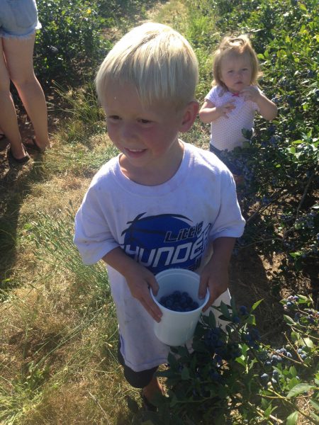 grand-kids-picking-blueberries-PNW-WA