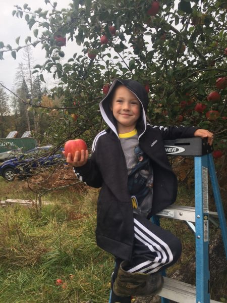 apple farming washington state